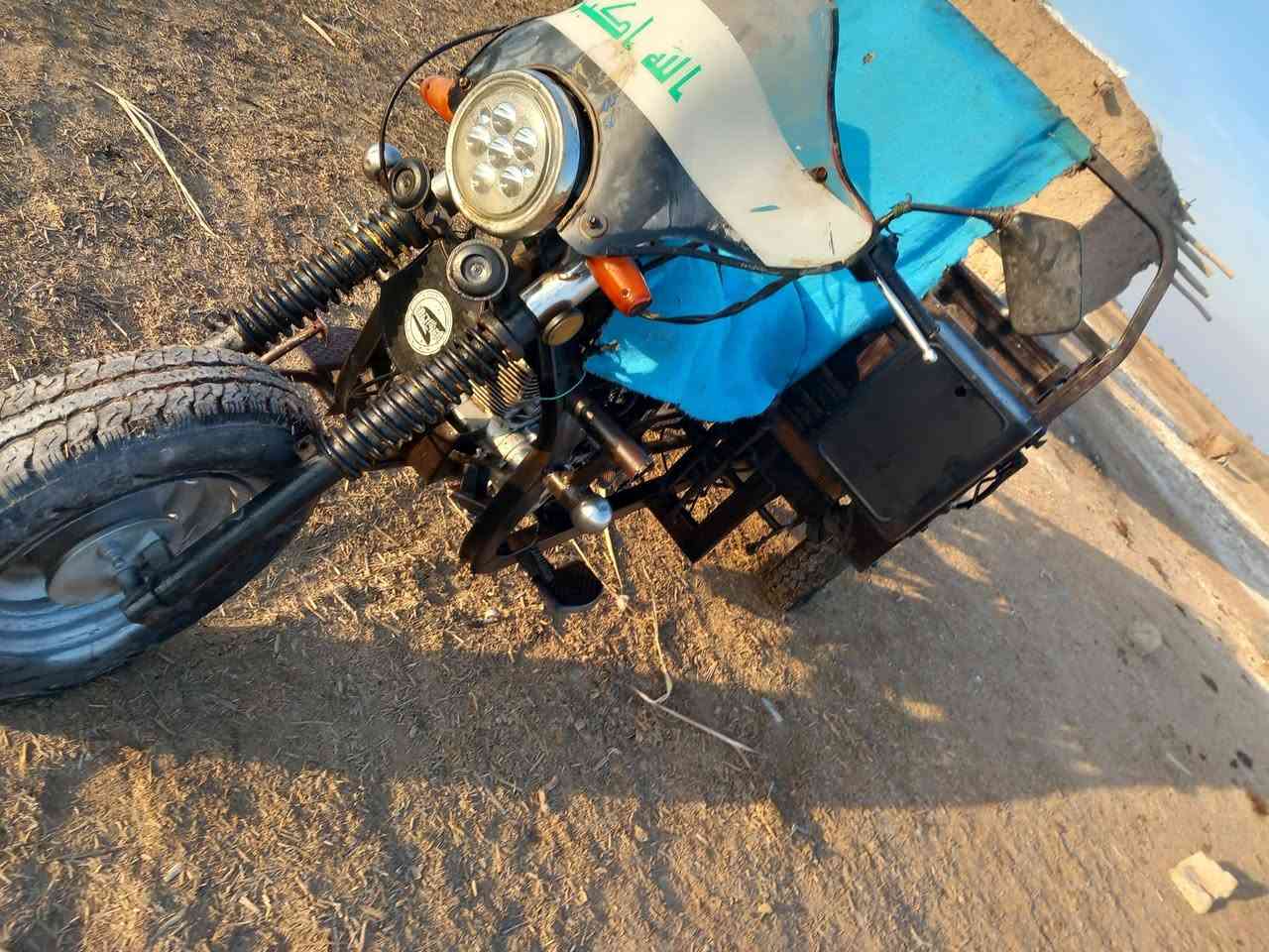 ***********N***********
