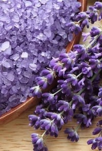 وصلتنا جديد ... نبات ( اللافندر الخزامي )  هو نبات عطري رائع جدآ   يكث...