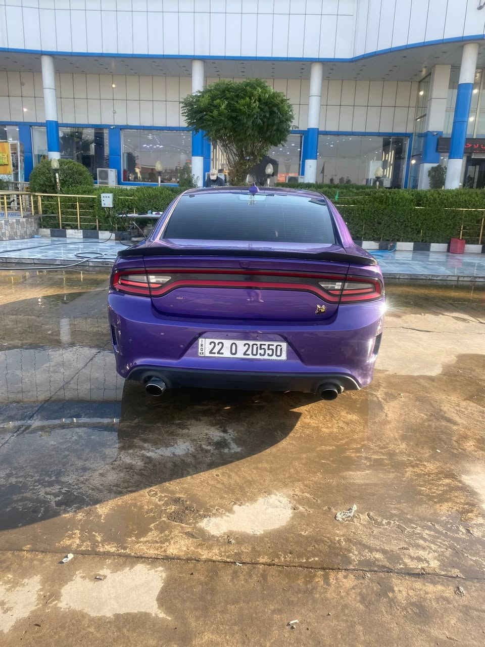 للبيع: دودج تشارجر سكات باك (Dodge Charger Scat Pack2023
المواصفات: سكات باك (Scat Pack).

 محرك:6400

 الموديل: 2023

 اللون: بنفسجي

 الحادث:  (بونيد وبارد بالجاملغ)

للاستفسار: ***********

 السيديه/الدوره
