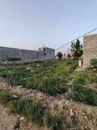 للبيع قطعة أرض العنوان الدوره هور رجب بجانب شارع بيت وهيب سند 25 طابو ...