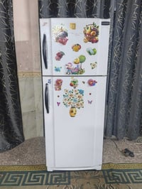 كونكورد لبنانية • ٢٤ قدم • فريز خارجي