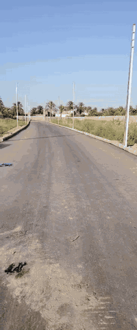 السلام عليكم مجمع زراعي على طريق الزوار مقابيل معمل الالبان مساحات مختلفه واسعار مناسبه
***********
