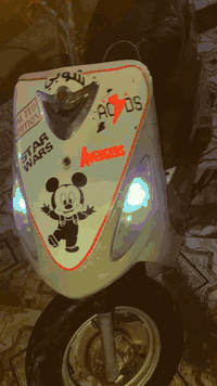 السلام عليكم ماكس منغولي كامله سلف كهربائيات كامله جاهزه للاخير دراجه برغي مامفتوح بيها انه وياك يم اي مصلح نفحص مكينه نضيفه وناعمه توها مسحوكه دراجه جديده ونضيفه بمعنى الكلمه للبيع او مراوس مكان ناصريه مركز  
***********
