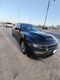 تشارجر ٢٠١٩ • ٣.٦ ٦سلندر • اوتوماتيك