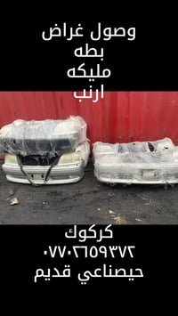 كركوك • بطه • ارنب