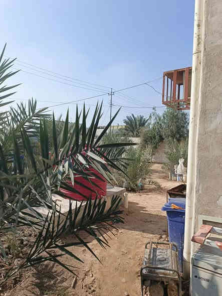 أسلام عليكم ورحمة ألله وبركاته🌹
الاستفسار : ***********

توفر أرض مع دار سكن طابقين 🏭
سنة البناء 2023
ألمساحه الكليه 600م
ركن على شارعين
كل شارع 10م
جميع لخدمات متوفره
على نهر جاري قريب على شط لعرب
يبعد مسافه 100م عن شط لعرب رئيسي

أرض حلو مرتبه مزروعه أنواع نخيل
محتويات البيت ⬇️
بستان + كراج
دوانيه
صالتين
غرف نوم عدد 6 نضام سويت
مطبخ حار بارد
صحيات خارجي وداخلي

نوع العقار : طابو زراعي ملك صرف عراقي سند 25
العنوان : البصرة ابولخصيب محيله 

السعر : 300 وبي مجال
الاستفسار : ***********
