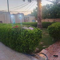 نص دونم • بيتين • صالحة للزراعة