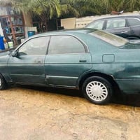 سوق الشيوخ • ٢٠١٩ • مداور