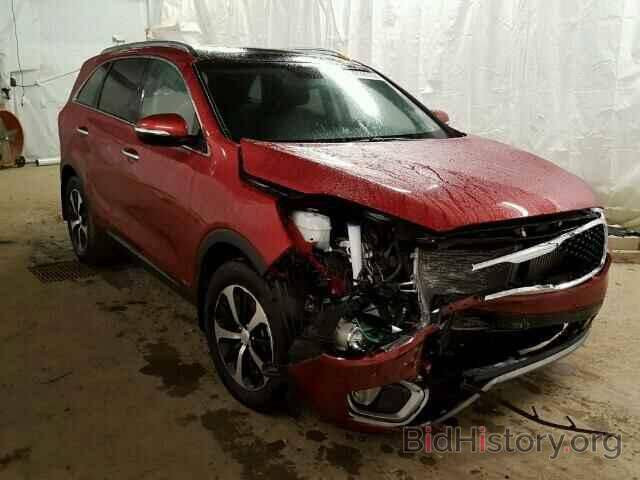 سلام عليكم سورنتو موديل 2016وارد امريكي حادث نص دعاميه فقط موجود حادثها مع صور مكفوله من الصبغ وتبديل محرك 4سلندر 2000تيربو فول موصفات 1-1صور الحادث وسونار مرفق مع صور سياره مكان سياره بغداد اليوسفية )(السعر165وبيها مجال 
رقم الهاتف ***********
