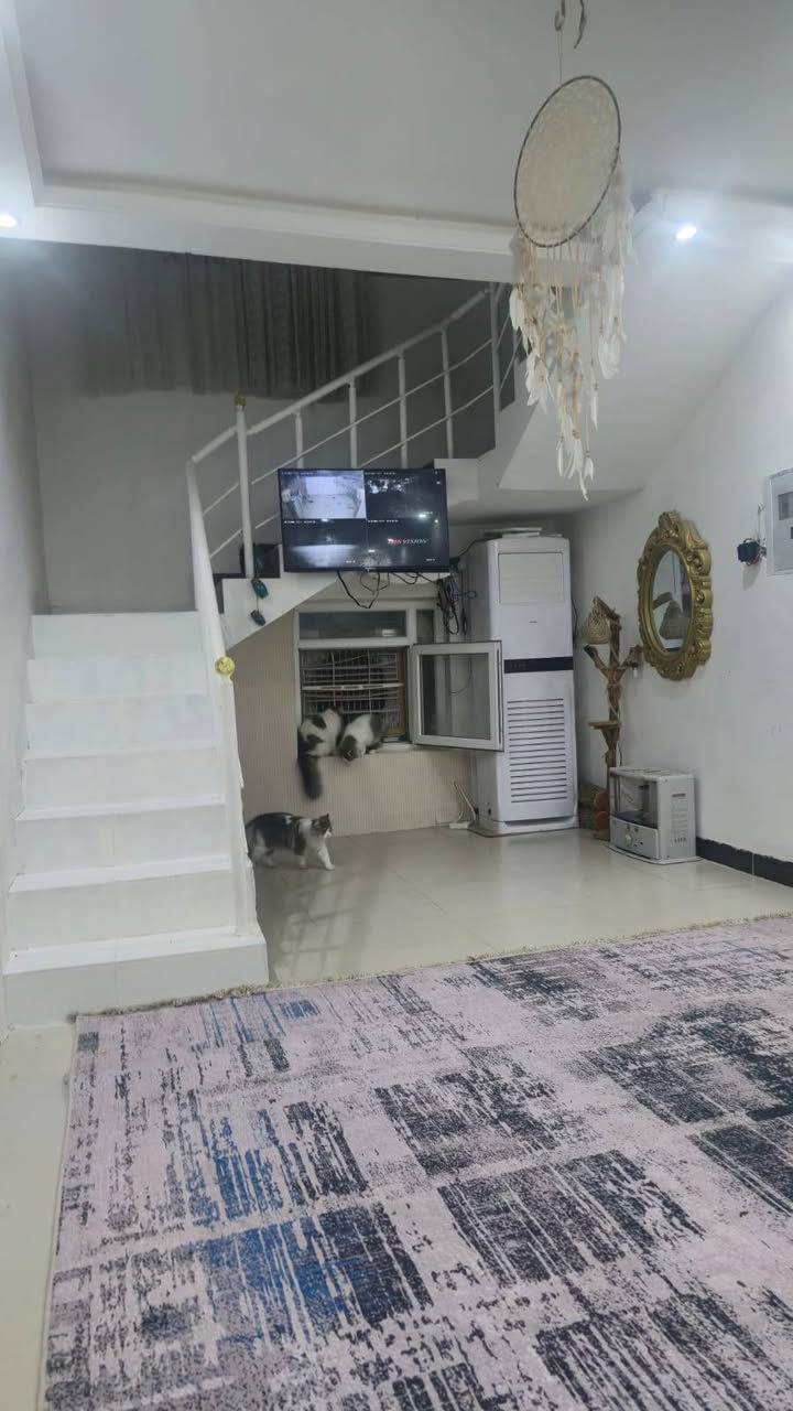 بيت لبيع 
مكان خانقين بارميل 
خلف بيت علي وندي
مشمول بل طابو مع كاونتر تركي 
البيت يحتوي على ٣غرف نوم مع مطبخ مع صالة مع استقبال مع صحيات مع  مخزن
للاستفسار 
‏‪***********‬‏ خناقين, ديالى
