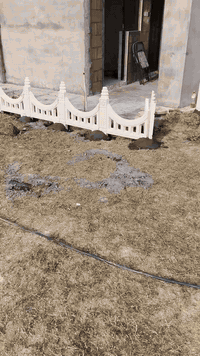 سلام عليكم 🖐
عمل انواع المقرنص 🪓
عمل مقرنص🛠    عمل كابات ⚒️  عمل رصيف🔨   عمل ساقيه   عمل مرمر  📎 عمل بورسلين🔩🔧   عمل كاشي   عمل كربستون⚔️🗡  (الثقه في عملنا) 🏹  عمل نقشات 🛠⚔️📸
السرعه والدقه في عملنا 🔑
يوجد لدينا كادر مخصص 🤞🏿

نعمل في بغداد وجميع المحافضات 🇶🇦🇮🇶🇲🇱
الرقم الهاتف( ***********
