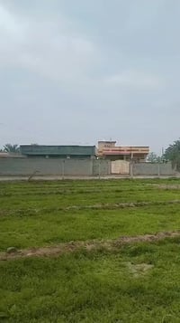 شاطيه • سند • تحويل مباشر