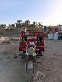 ستوتة سلطان • سنوية • سلف