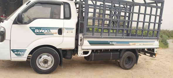 كيا فحل للبيع موديل2019 مكفوله
((((((((((((***********)))))))))))
