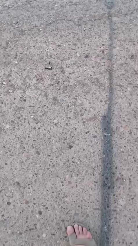 قطعه ارض موقع قريه نديم قريبه على شارع تبعد ٣ دقايق فقط 
مساحه ٢٠٠ متر 
واجه ١٠ نزال ٢٠ 
للتواصل ***********
اخوان سعر 22 وبيه مجال
