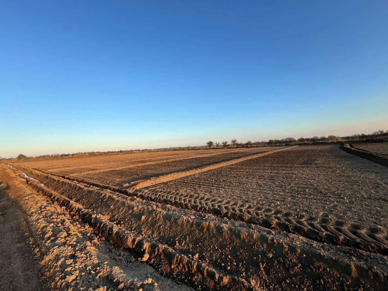 فرصه مميزه وبيع مستعجل ك قطعه ارظ طابو زراعي عقد 35 

ملاحظه ----- الارظ مشموله بمعاملت التطويب 

مساحه 6 دونم كافت الخدمات ماء سقي صيف وشتاء ماء أسأله

 طريقين  الى الارض قريب ع شارع العام 400 متر تقريباً 

📍العنوان حله وردية خارج قريت البو طيف قرب جدول بابل موقع مميز جدا 

💸سعر الدون الواحد14مع المجال      

☎️للاستفسار ***********
