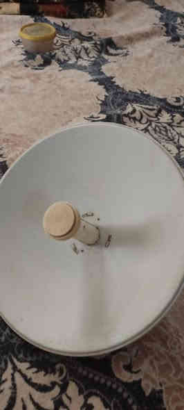 نانو شبكه. وقفص تسكام حديد جديد
***********
