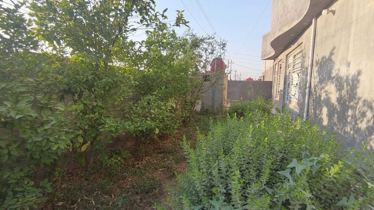 🛑🛑🛑السلام عليكم بيت للبيع او مراوس حسب القناعه 🛑🛑🛑
مساحة 380م ركن شارع تبليط
مضيف 11م 
هول ويا طول المضيف 
غرفة نوم 6×5
غرفه نوم طابق ثاني 
مطبخ كبير 
طارمه كبيره  
صحيات عدد 2
مجاري على البزل 
حي ذويب الثالث الشارع الفاصل بين ذويب والدواغنه حاليا البيت فارغ
***********
