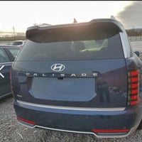 باليسايد كالگراف • ٢٠٢٦ • أضرار جانبية