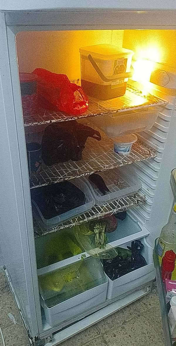 ثلاجة نظيفة شغالة سعرها 120 بيها مجال
مكانها حي صدام


**إذا كنت صاحب هذا الإعلان وتريد حذفه لأي سبب، رجاءا أرسل رسالة إلى الدعم الفني**