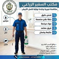 @لا تنتظر حتى يتحول الضرر إلى كارثة! النمل الأبيض يهاجم بصمت ويدمر الأ...