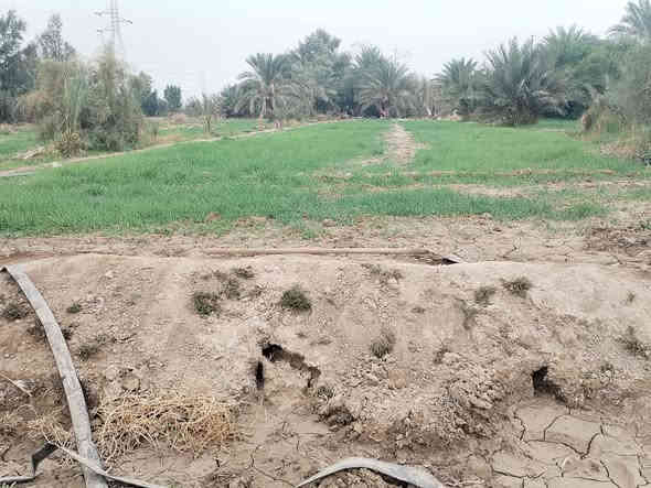 االلبيع كاع اكثر من ثنين دونم
ارض ز راعيه مثل ماواضح بلصوره 
تحتوي ع بريمه وماطور وكهربا
 عقد زراعي سند 35 بسمنه
عنوان دوانيه حمزه الشرقي منتطقت الجعفريه 
***********
