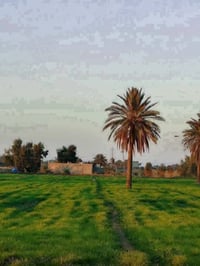 📢 السلام عليكم – عرض اليوم 📢 📍 الموقع: مقابل سبع البور – منطقة الشيخ ع...
