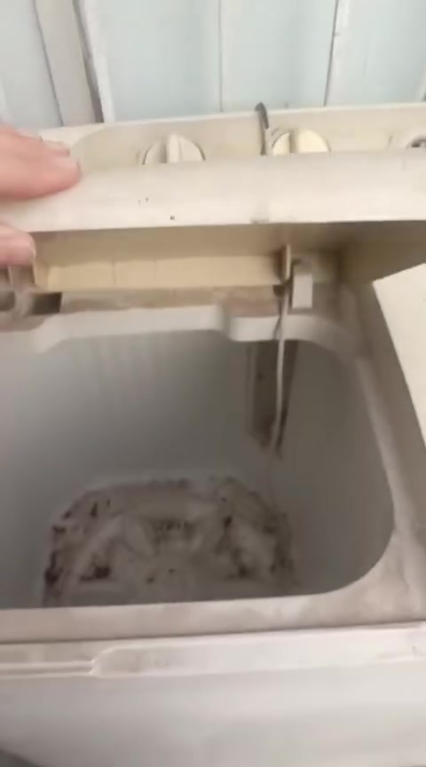 غراض للبيع مستعجله على بيعتهن المكان كماليه شارع جامع شراي يدخل خاص


**إذا كنت صاحب هذا الإعلان وتريد حذفه لأي سبب، رجاءا أرسل رسالة إلى الدعم الفني**