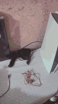 07726729442 واتساب فقط