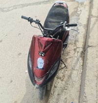 شغالة • دشبول ناقص • سلف وهندل