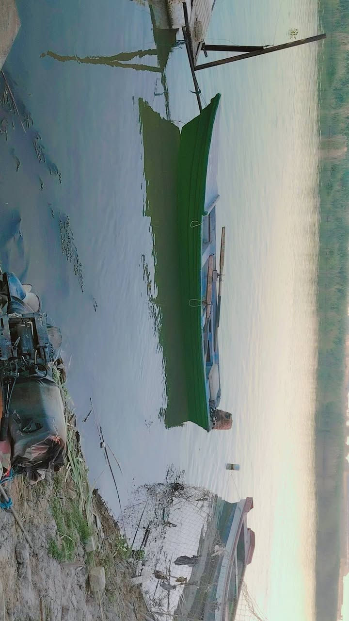 بلم شبوط البيع المكان كوت ***********
