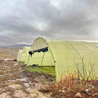 كنب 4 مقاعد • جلد جديد • شوێن بازیان