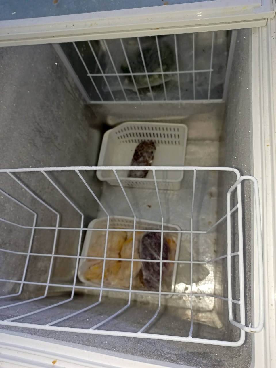 مجمدة شارك استعمال شهر واحد تجميدها كلش قوي ب 250 الف قفل مكاني بغداد كفاءات السيدية


**إذا كنت صاحب هذا الإعلان وتريد حذفه لأي سبب، رجاءا أرسل رسالة إلى الدعم الفني**