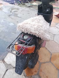 بطه • شغاله • معدل شاصي
