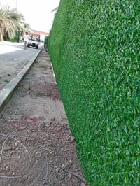 بغداد • سيجه بيارسي • أسعار تنافسية