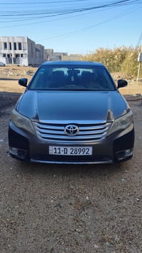 افلون • ٢٠١١ • وراد امريكي