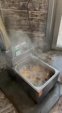 مقلاة زيت كهربائية • RAF تركي • ٥٫٥ لتر