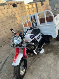 ستوته 14 • شاصي مكفول • اوراق كامله