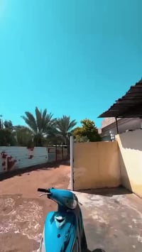 ماكس منغولي • اربعه كير • رخصة مدير