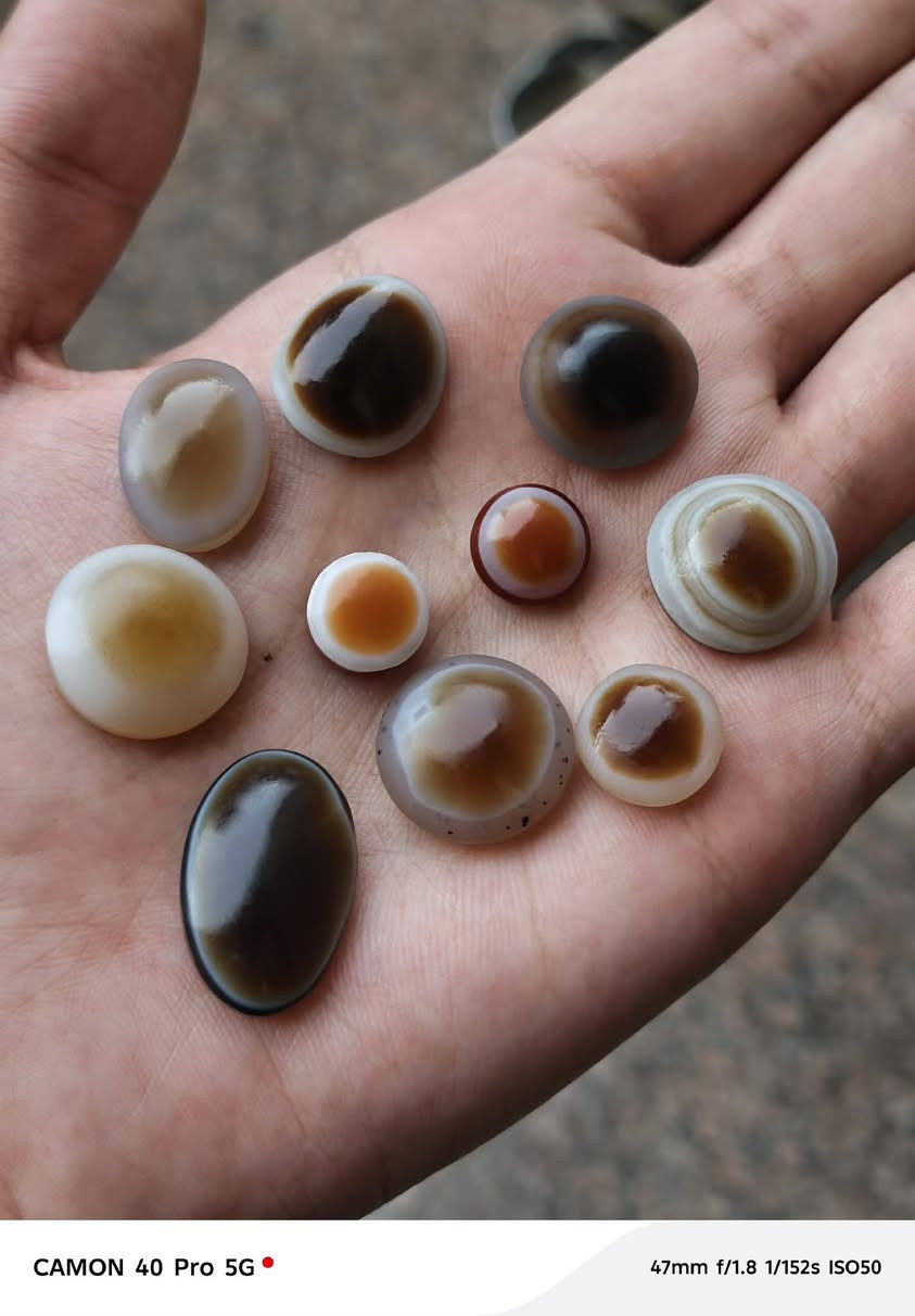 شلع للبيع بسعر مناسب
تواصل خاص


**إذا كنت صاحب هذا الإعلان وتريد حذفه لأي سبب، رجاءا أرسل رسالة إلى الدعم الفني**