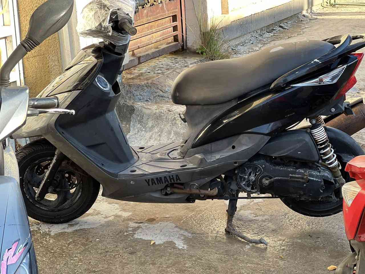 سلام عليكم شباب  ثعالب رنبه للبيع اكرر رنبه مو مال شارع بعدهن علا بانزين الاليابان  دراجات حلوات وشغالات جيب بارتي  وطلع  ثنين كابريتر وحده نوزل 
السوده نوزل مزوده مكينه رياضيه كلجات وصلنصه 
وثنين كابريتر بلاديات  وسعارهن جوه السوك ابيعلك وضمان مكينه مفتوحه كفر تجاري ترجع الدراجه  اسعار ناررر والله جوه السوك اي ستفسار اتصل موجود واتساب ***********
