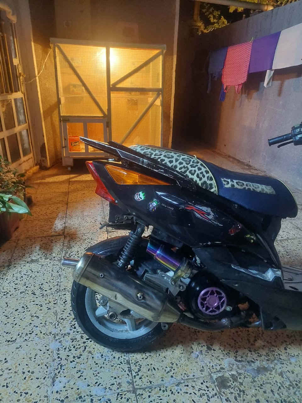 (مراوس بعدله فقط)
ثعلب 58 ونص مكينه حلو شلعه ومعدل سلف رياضي قبق فلاوبن قطره صالنصه 
نقوصات كلوبات للماصده شمعه مال مكينه تعبانه غيره ماكو نكره بكل وقت مكاني يوسفيه حي الشهداء رقم ***********
