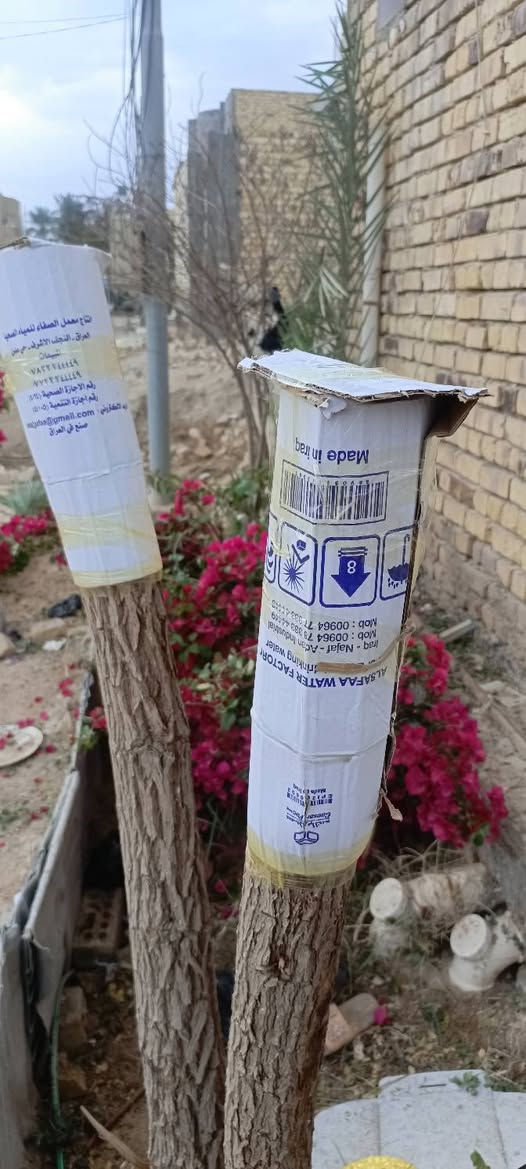 السلام عليكم المكان شاميه للتطعيم السدر‏‪***********
