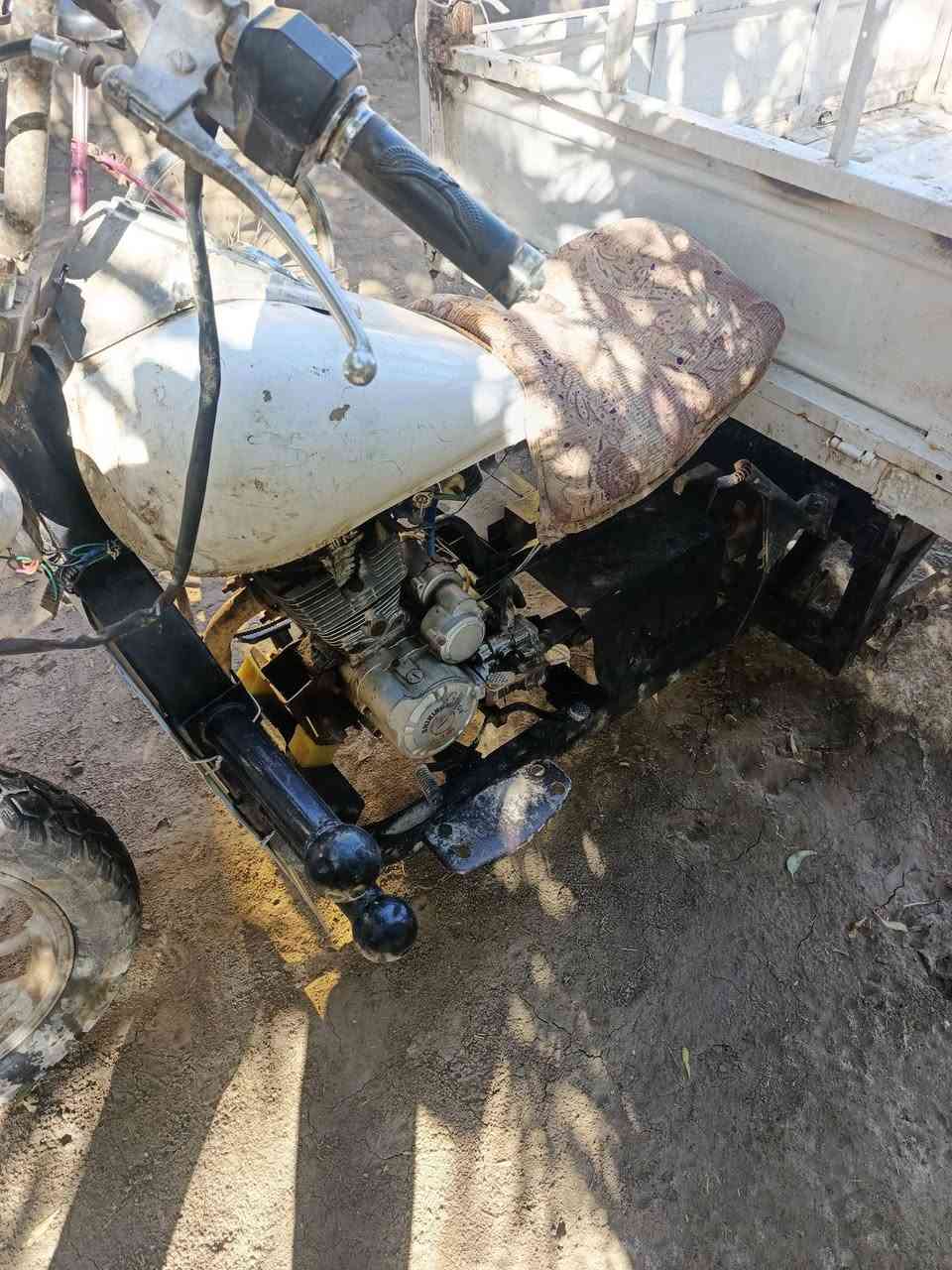 ستوته للبيع كلك القاسم طليعه رقمي ***********متواجد فيس سعر 500وبيه مجال
