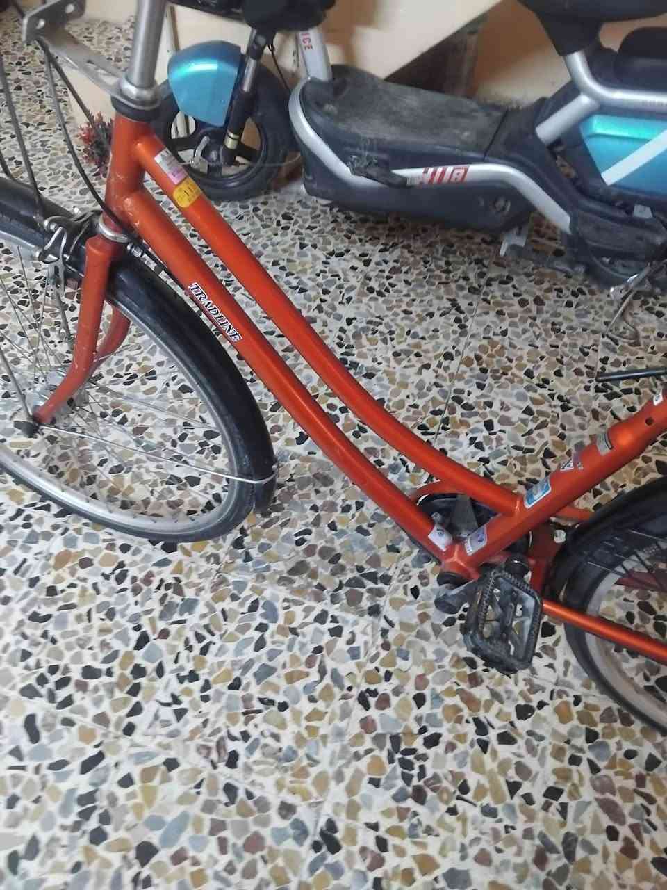 للبيع باسكل عبد الحليم كير خارجي حساس سعر 110 بي مجال باسكل شحن


**إذا كنت صاحب هذا الإعلان وتريد حذفه لأي سبب، رجاءا أرسل رسالة إلى الدعم الفني**