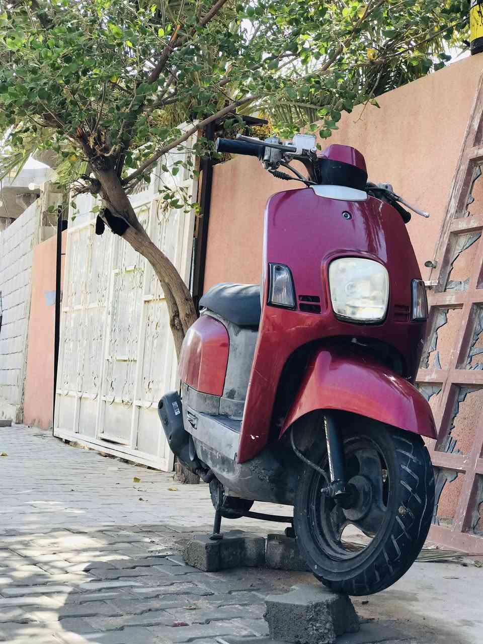 سلام عليكم دراجه بوليس للبيع نعومه ونهضه (مامفتوحه) كلشي ع البلاد ماعده الكفرات تجاري سعر
850 وبيها مجال قليل مكاني قرنه ***********
