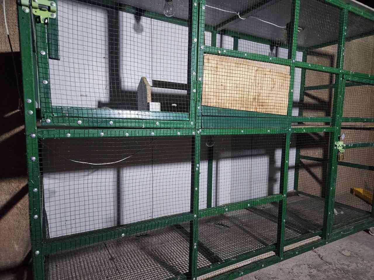 قفص حديد للبيع
ارتفاع ١٥٠ سم وطول ٢م وعرض ٦٠ سم متكون من طابقين شغل درجه أوله. الضهر والسقف اندي اف... اناره فوك وجوى السعر راسلني خاص وتدلل ..


**إذا كنت صاحب هذا الإعلان وتريد حذفه لأي سبب، رجاءا أرسل رسالة إلى الدعم الفني**