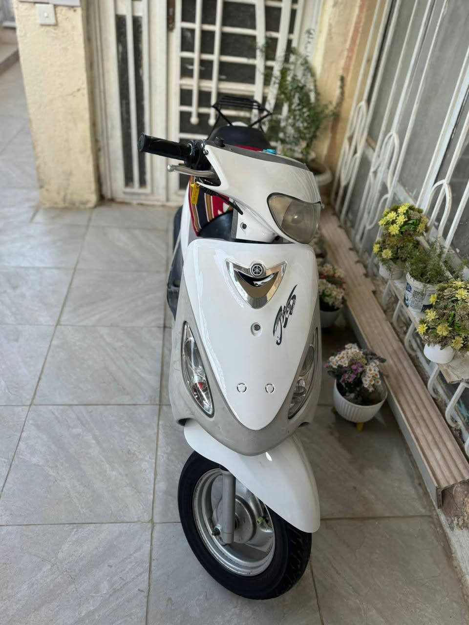 دراجه ماكس منغولي ما مفتوحه بلاد وصل معرض موجود السعر 700 و بيها مجال 
مكاني كربلا ***********
