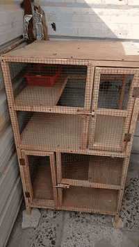 كلهن ب50 -الف مكاني حي الجهاد *********** متواجد وتساب
