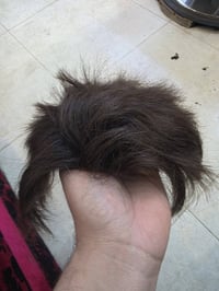 بوستيجة شعر • مستخدم قليل • توصيل نجف